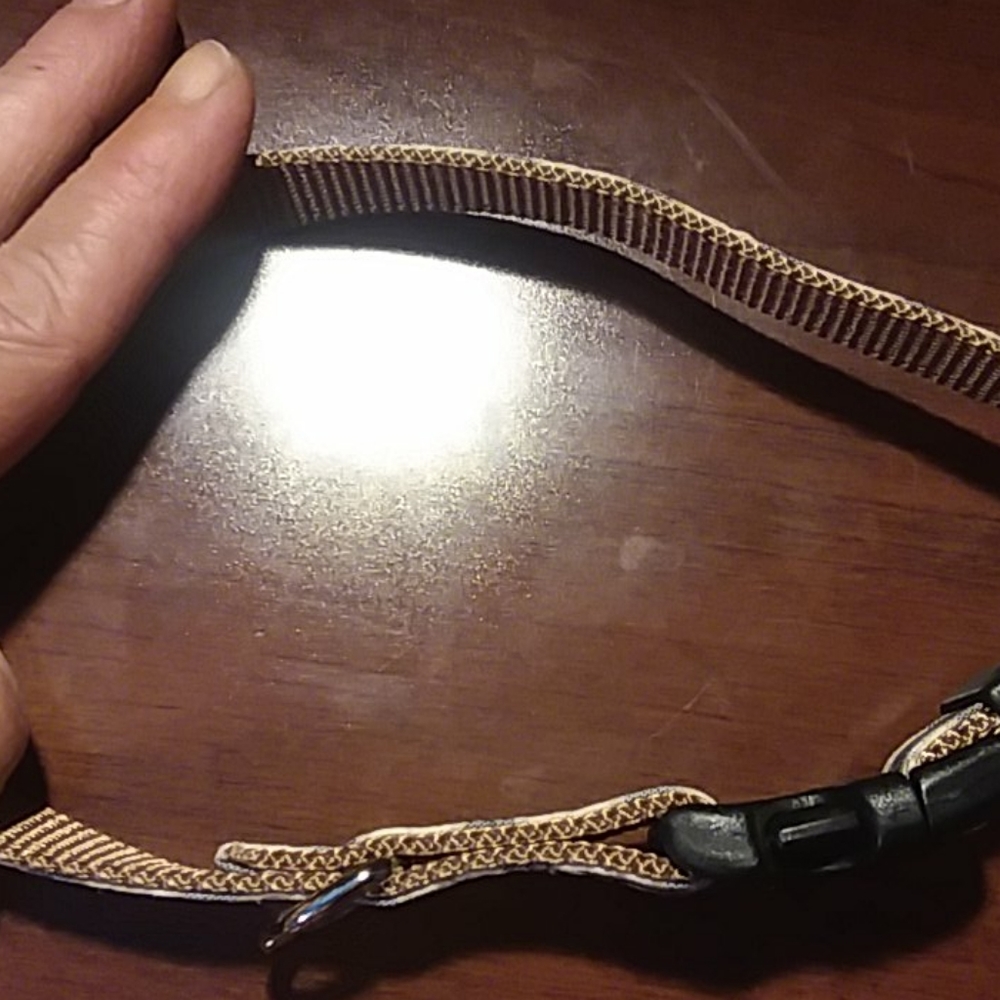 Dog Collar - Picture 7 of 7